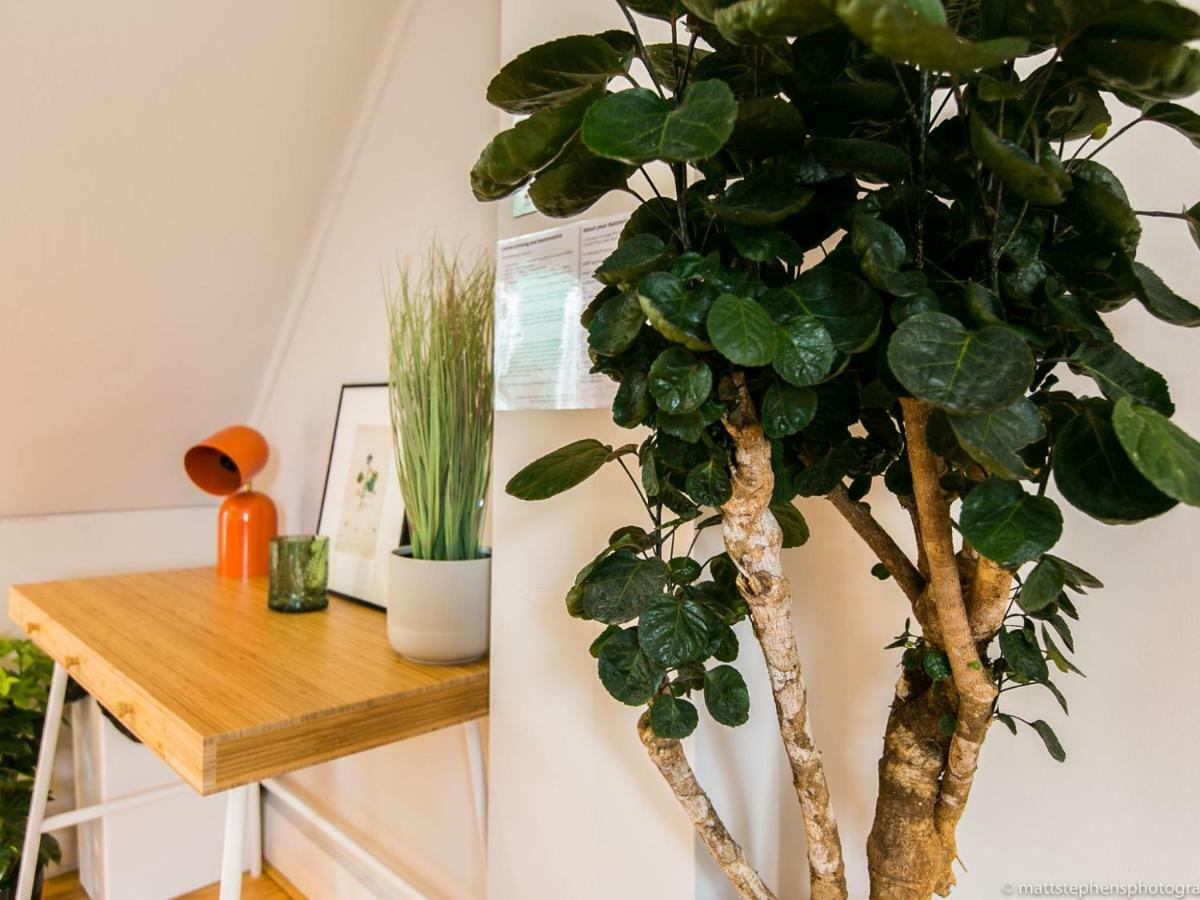 Exquisite 3Bdr Botanical Oasis In Central ברייטון מראה חיצוני תמונה