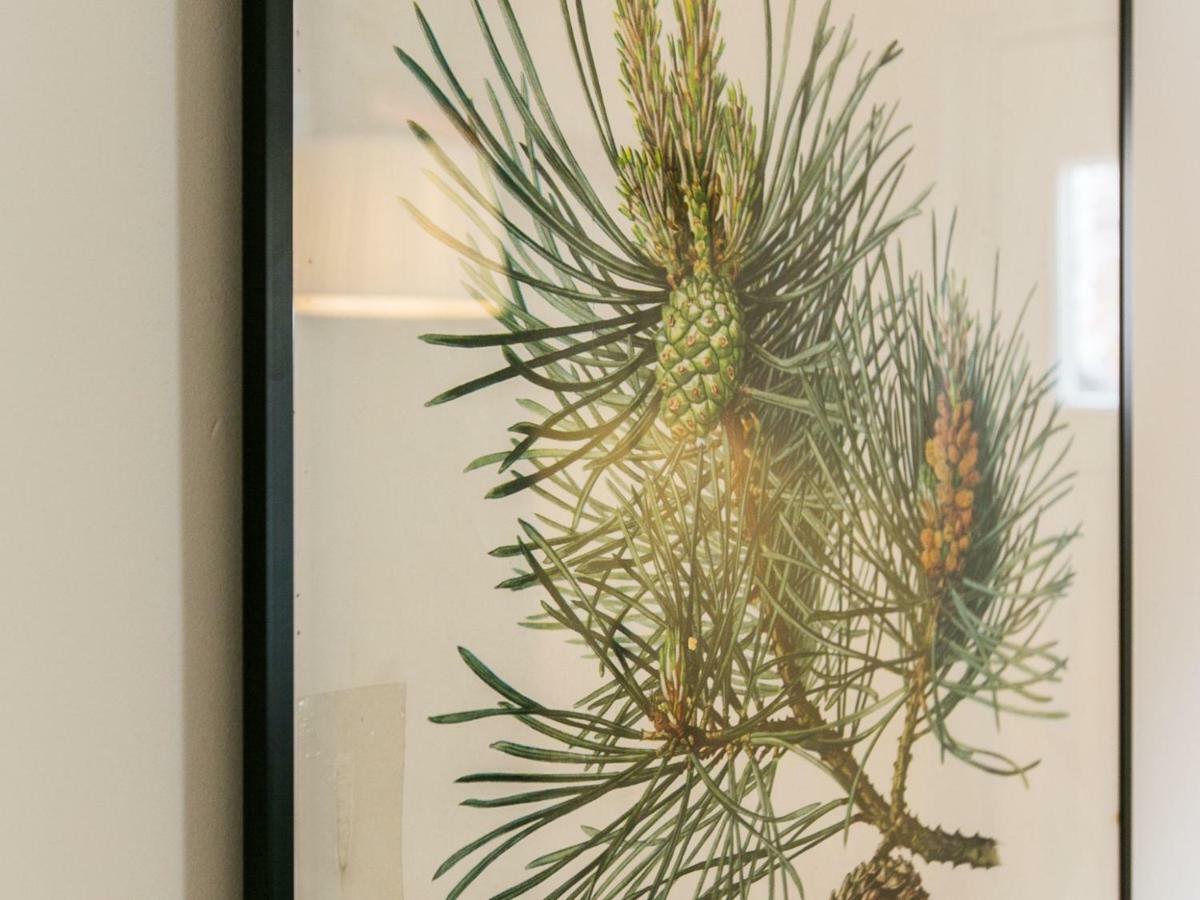 Exquisite 3Bdr Botanical Oasis In Central ברייטון מראה חיצוני תמונה